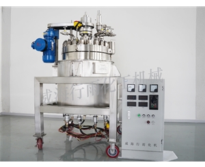 安徽中试反应釜