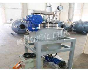 安徽中试反应釜