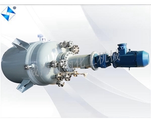 安徽生产型反应釜